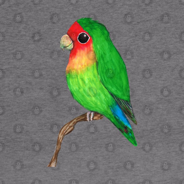 Very cute peach faced lovebird by Bwiselizzy